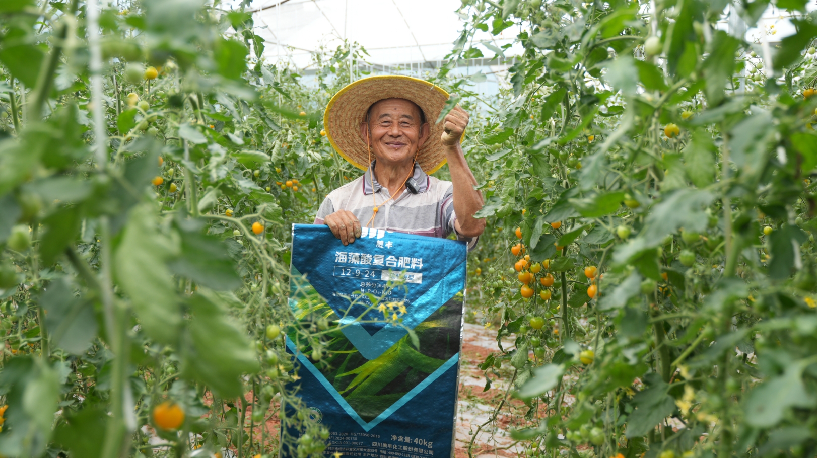 夏攻行動：“三夏”時節(jié)精準(zhǔn)發(fā)力助豐收